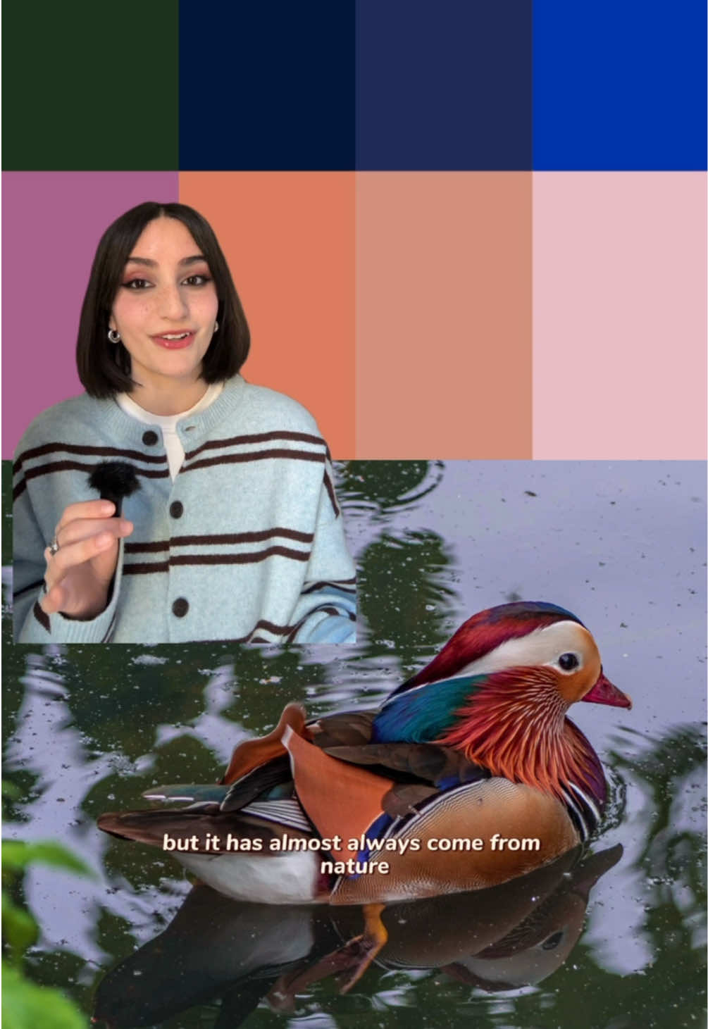 @Alyssa Anselmo
