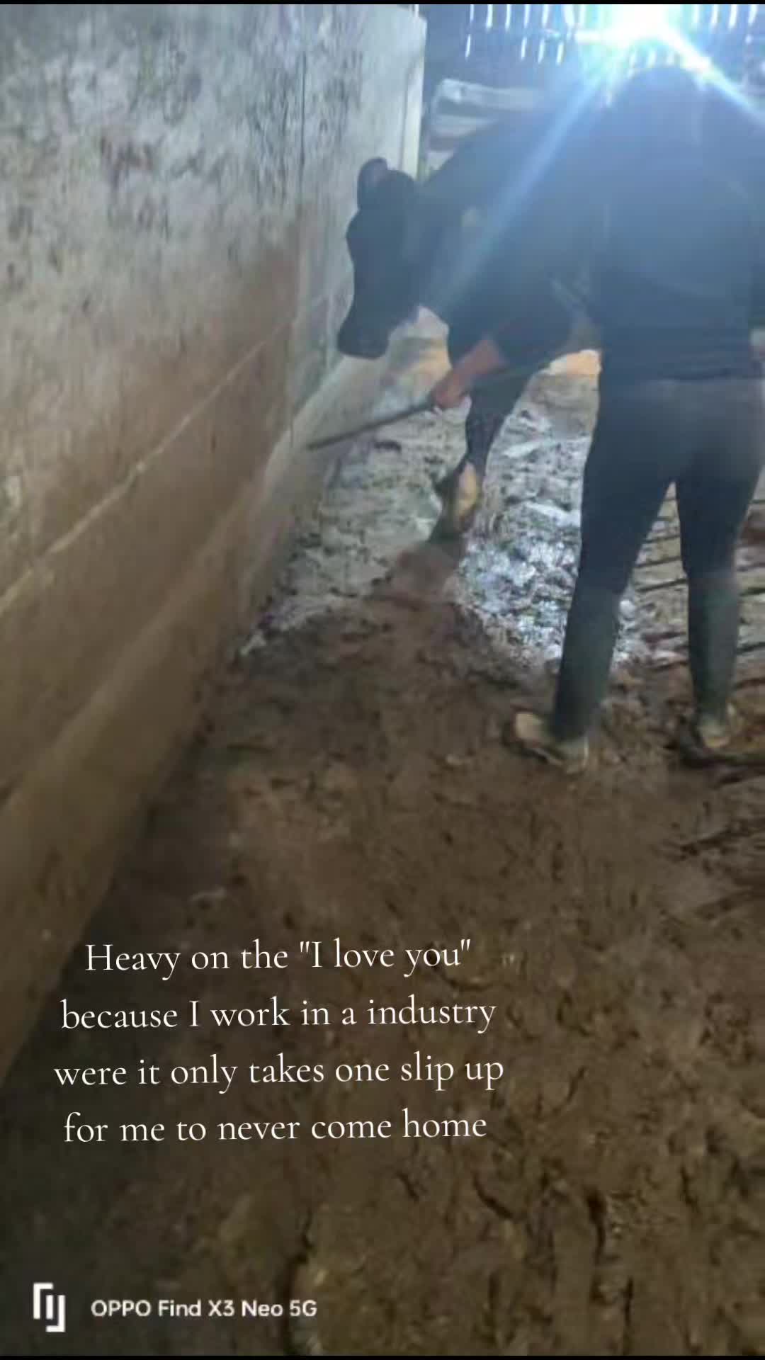 @m.scott 🐄🤠
