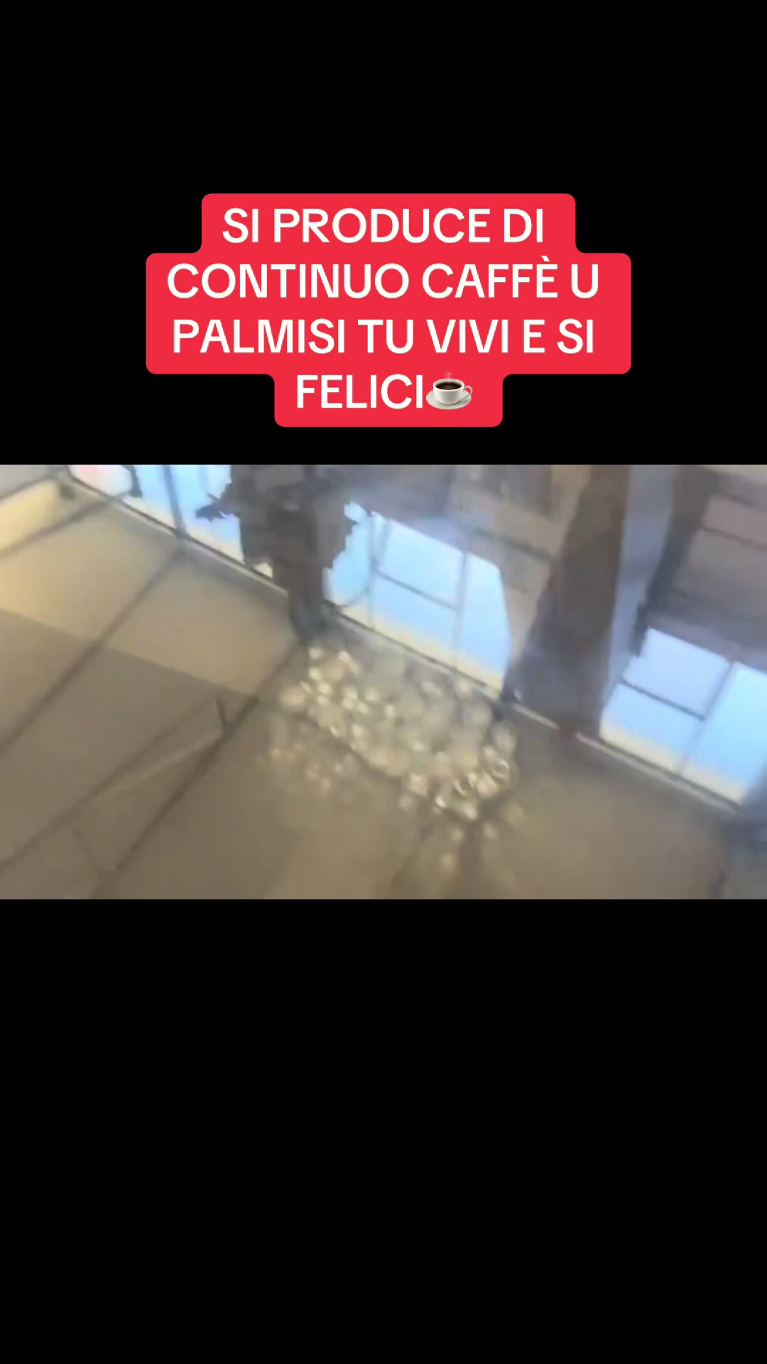 @🌴💪 U PALMISI💪 🌴