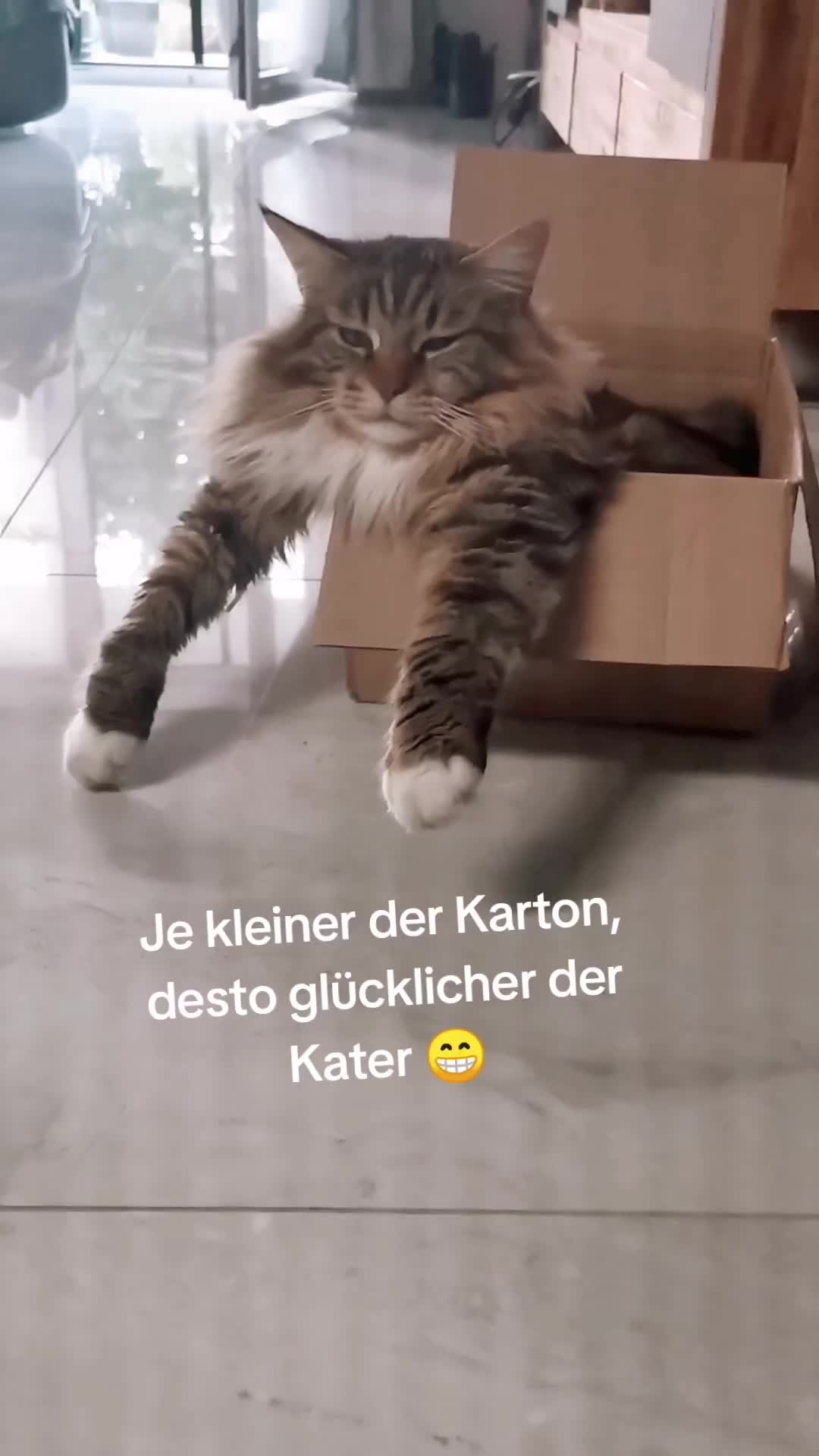 @animalslover