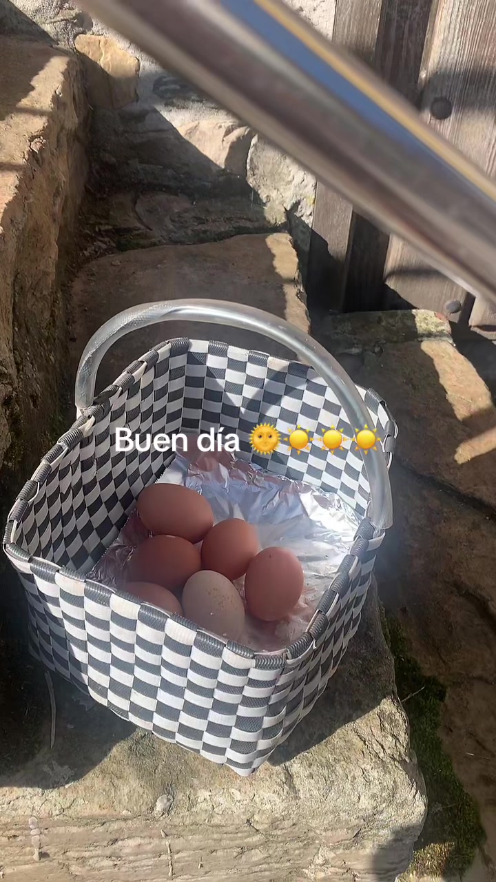 @Kensy Salinas