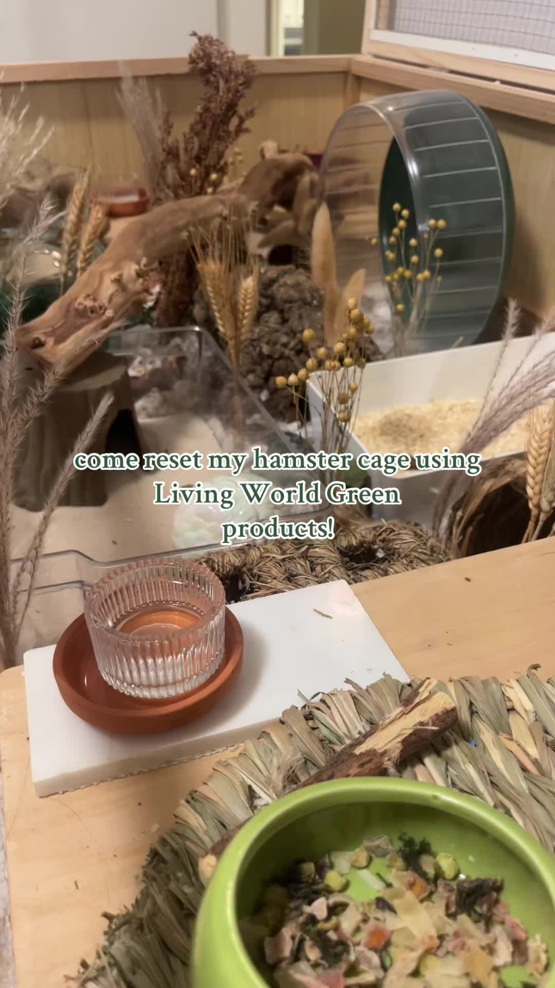 @ɪꜱʟᴀ