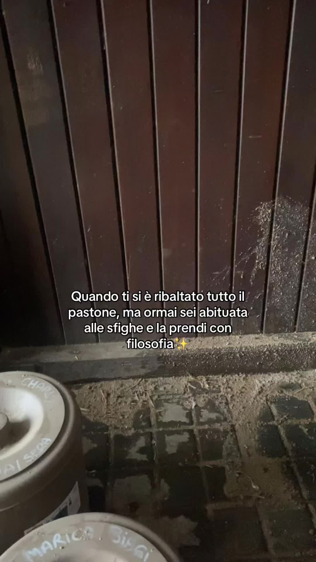@Marica Biagi