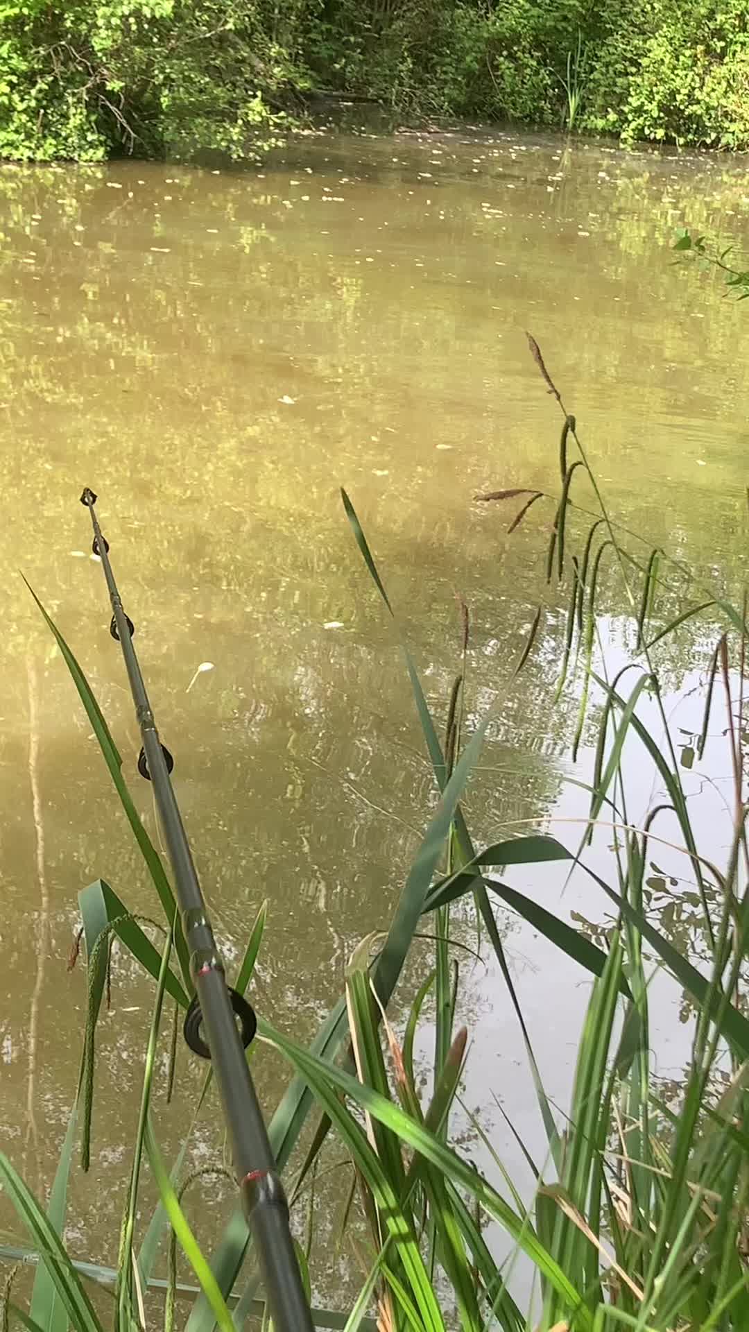 @Franks fishing adventures