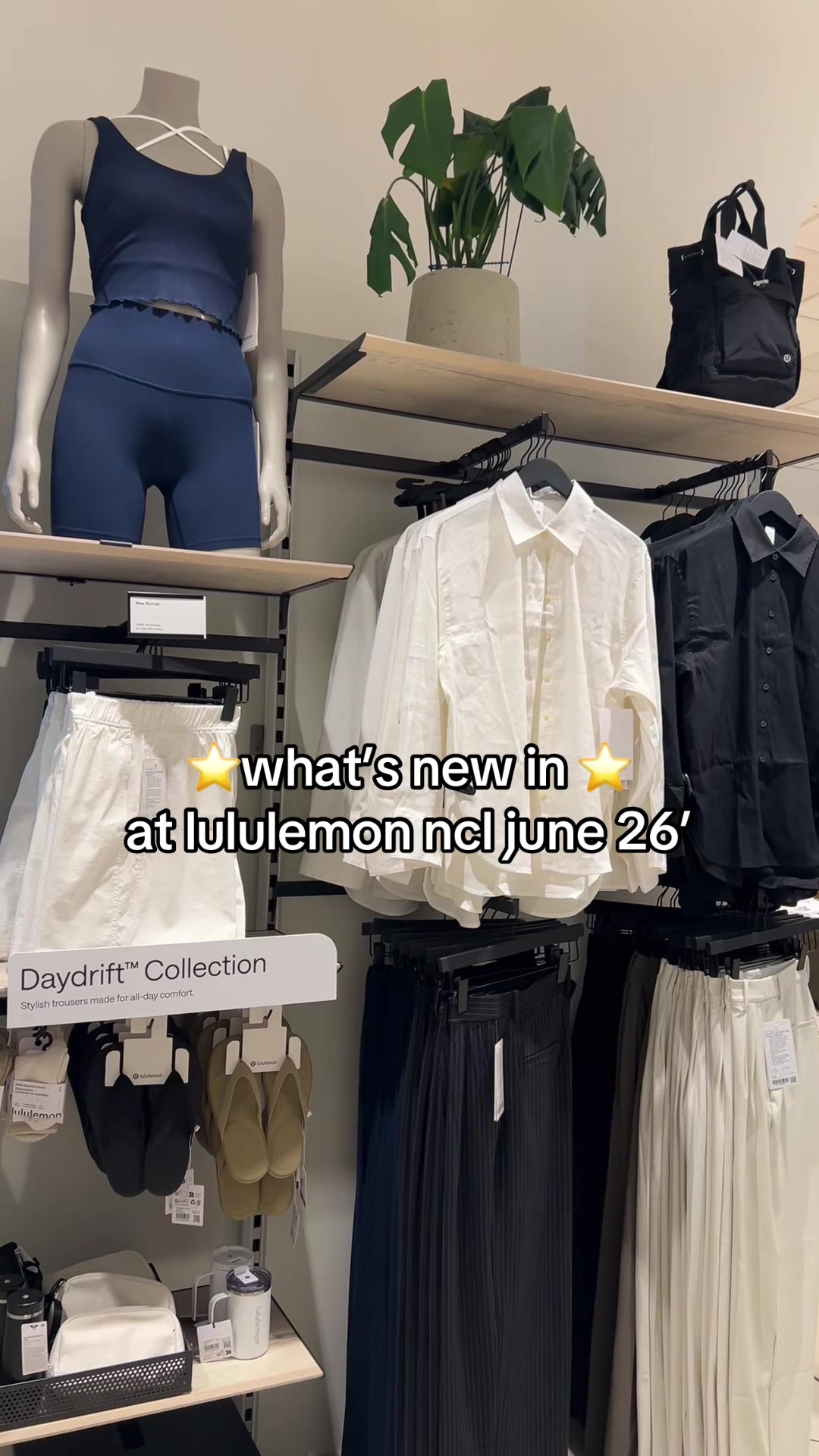 @ToonLemons