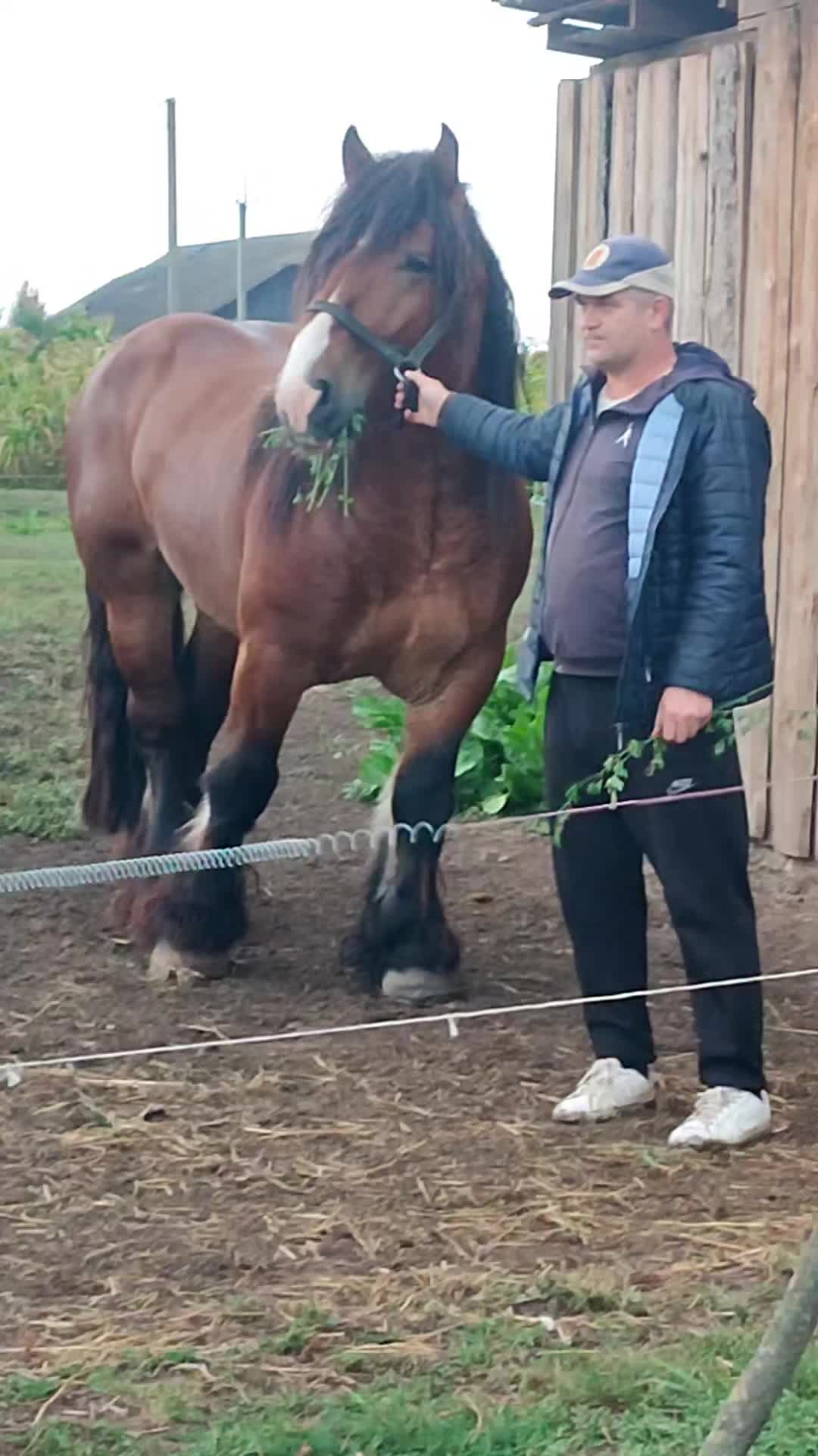@ВАСЯ БОЙЧУК 🐎
