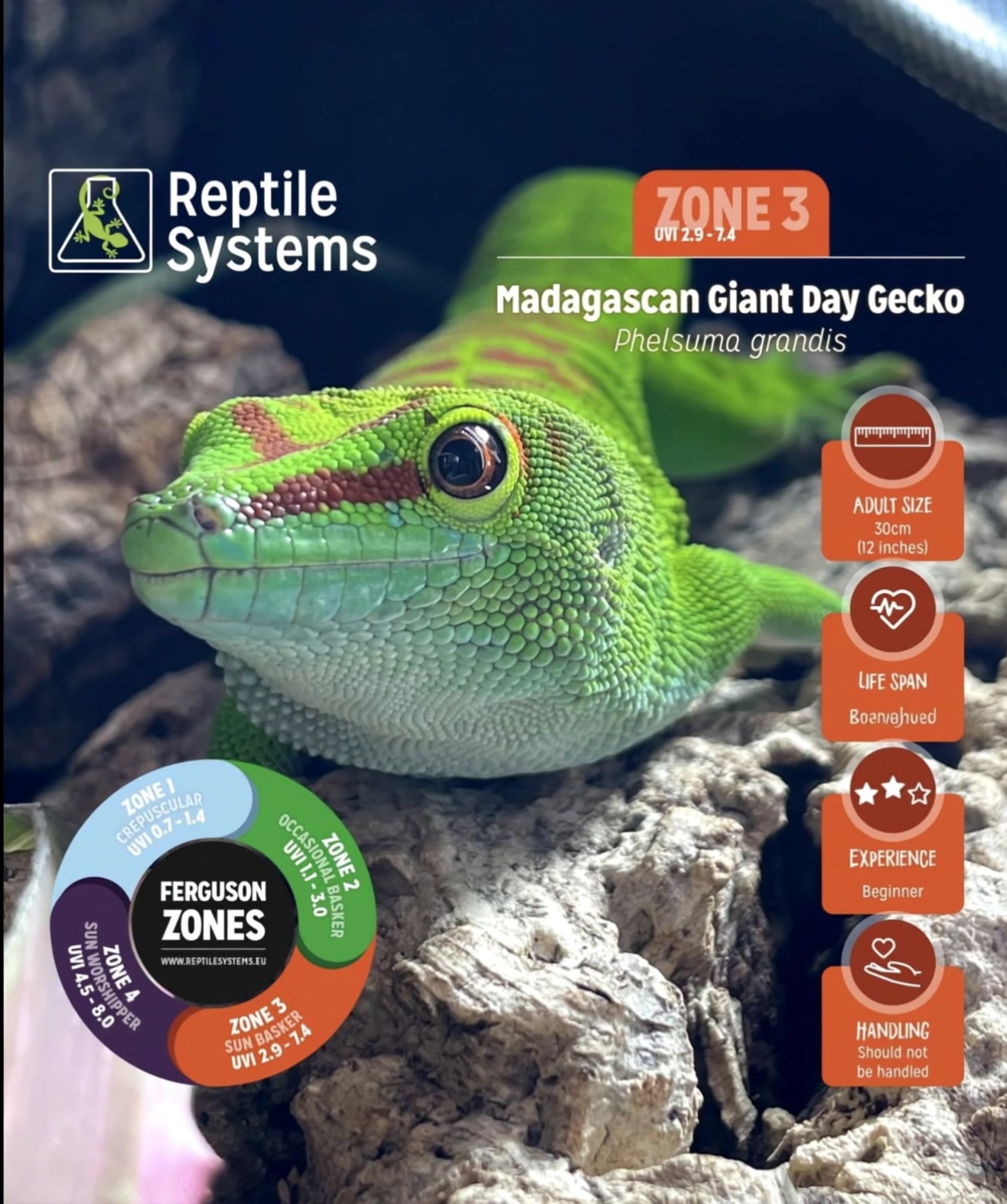 @DrTim