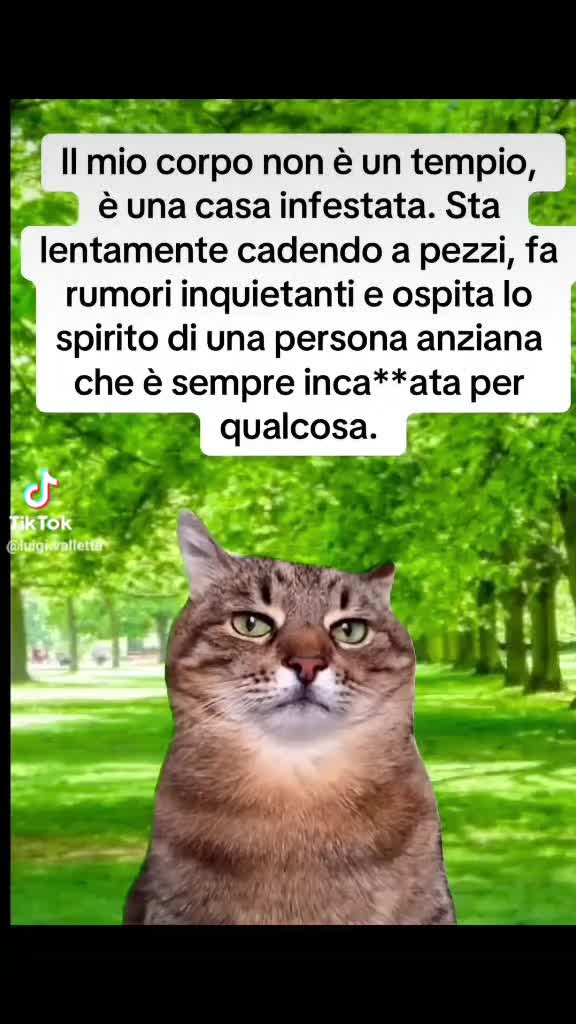 @Francesca Marrella