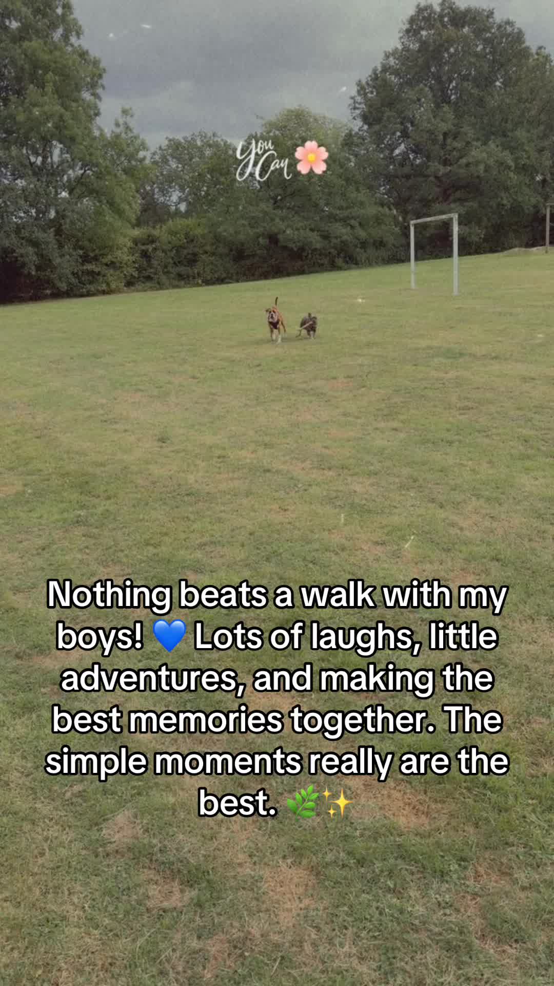 @Tinytalesdaily