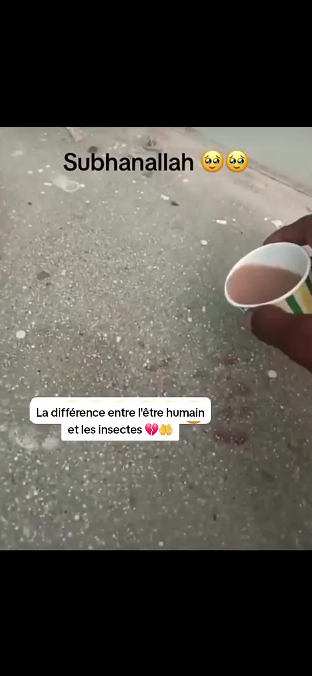@My Fleur🌹de 🇹🇳