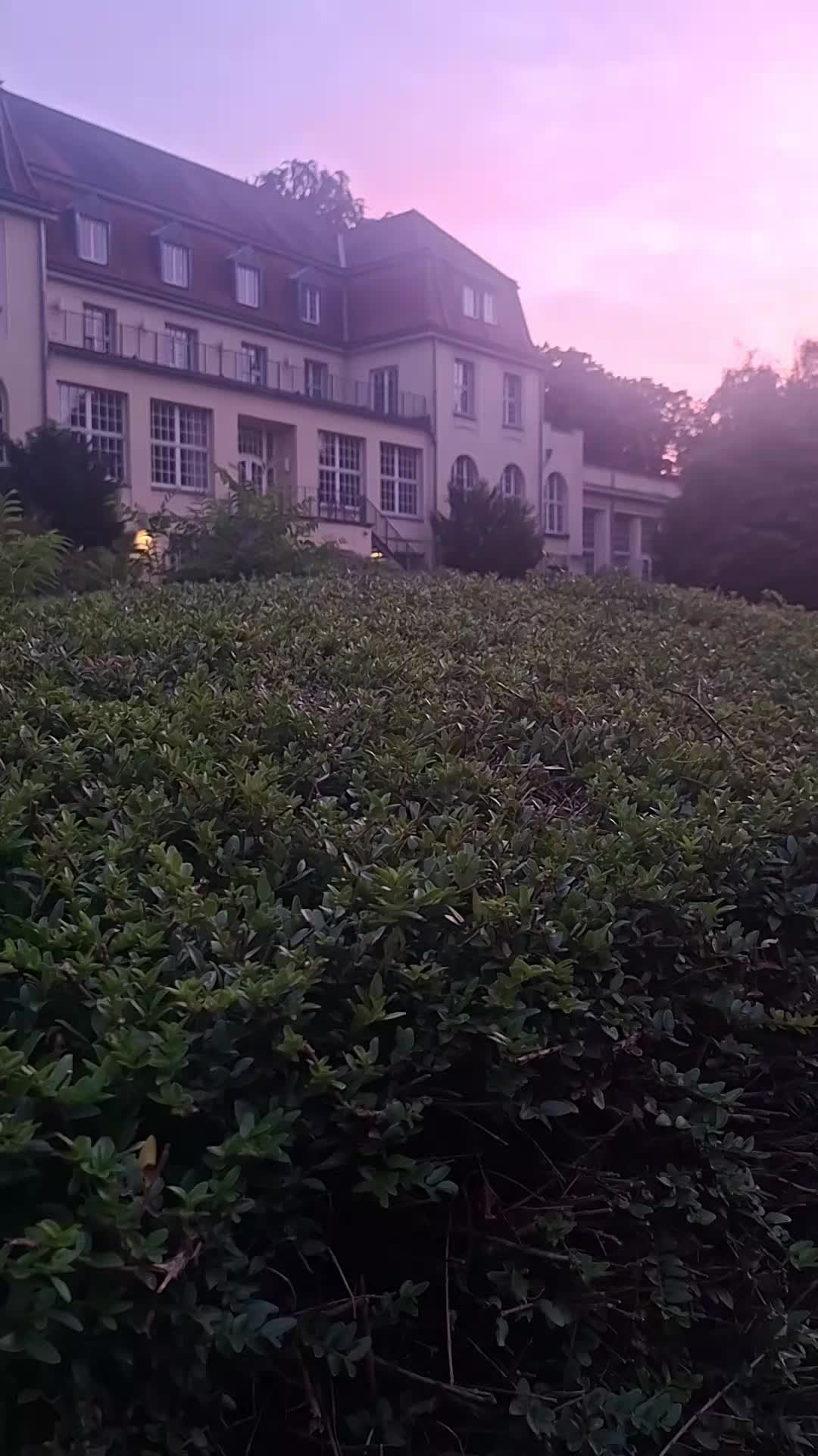 @Kasiunia 🇵🇱🇩🇪