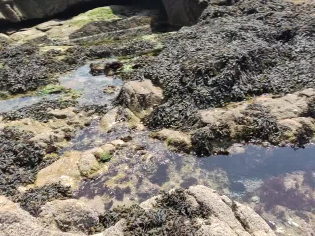 @alexviva750