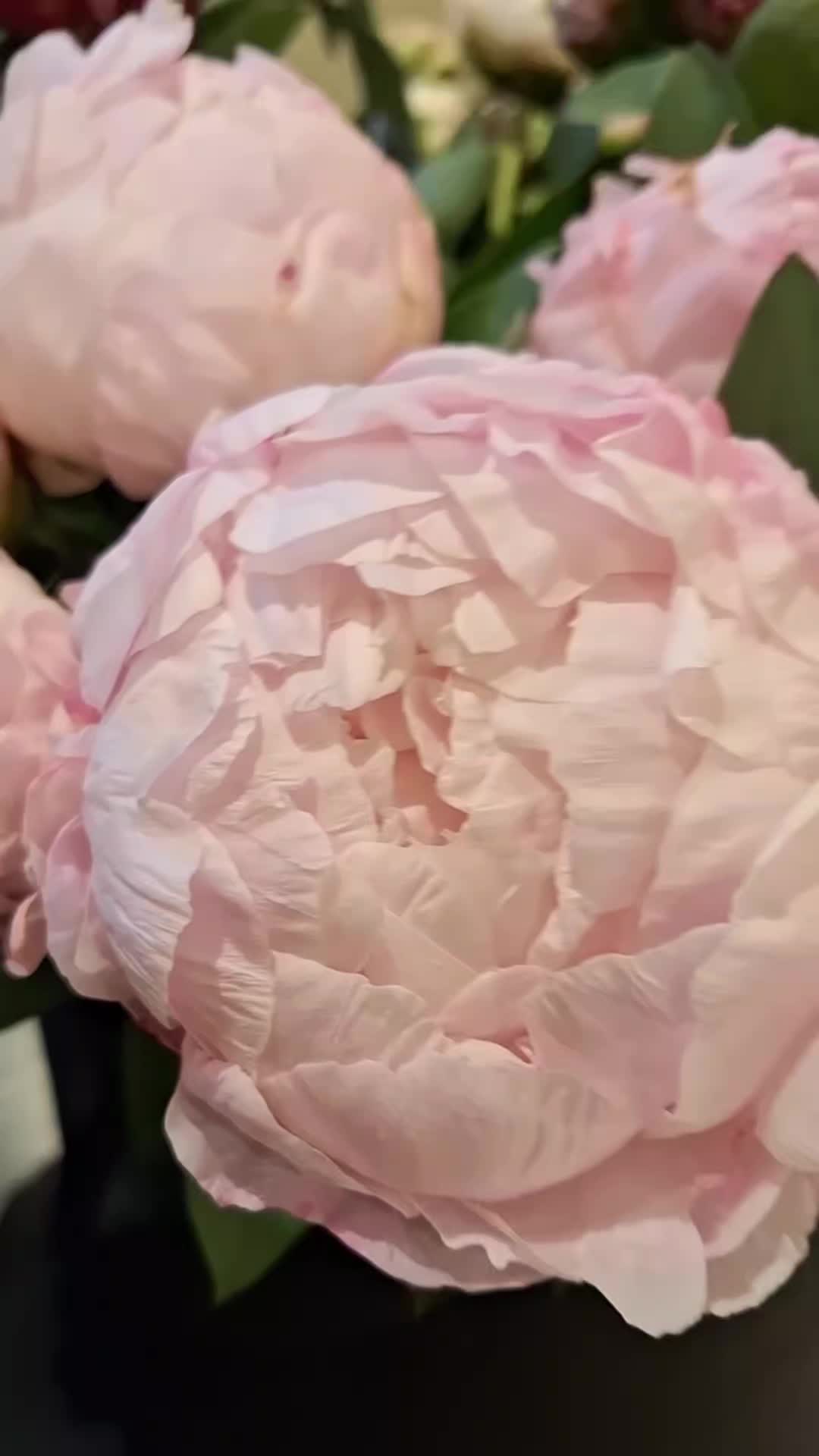 @Oasis Floral Products UK
