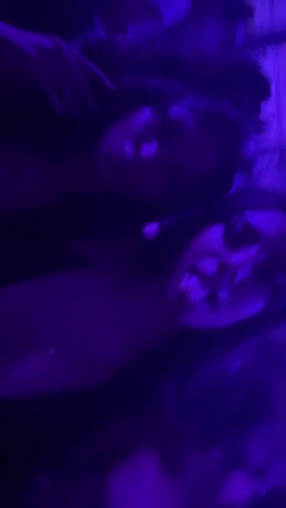 @dani