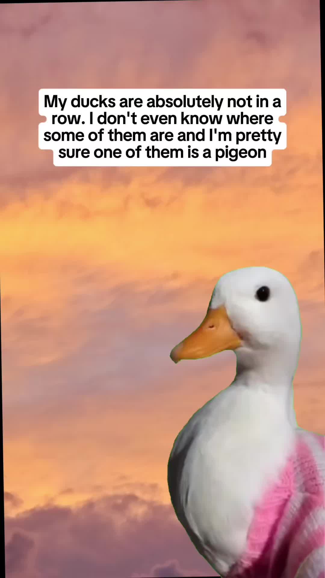 @AppalachiaMntCrone