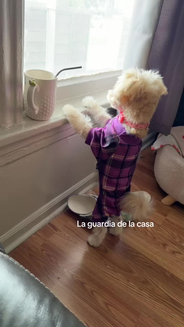 @Blanca🍓