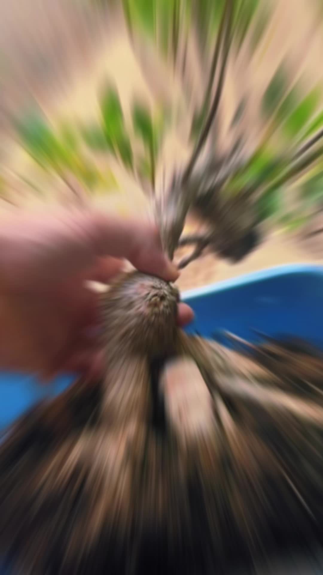 @b~lÿfe420