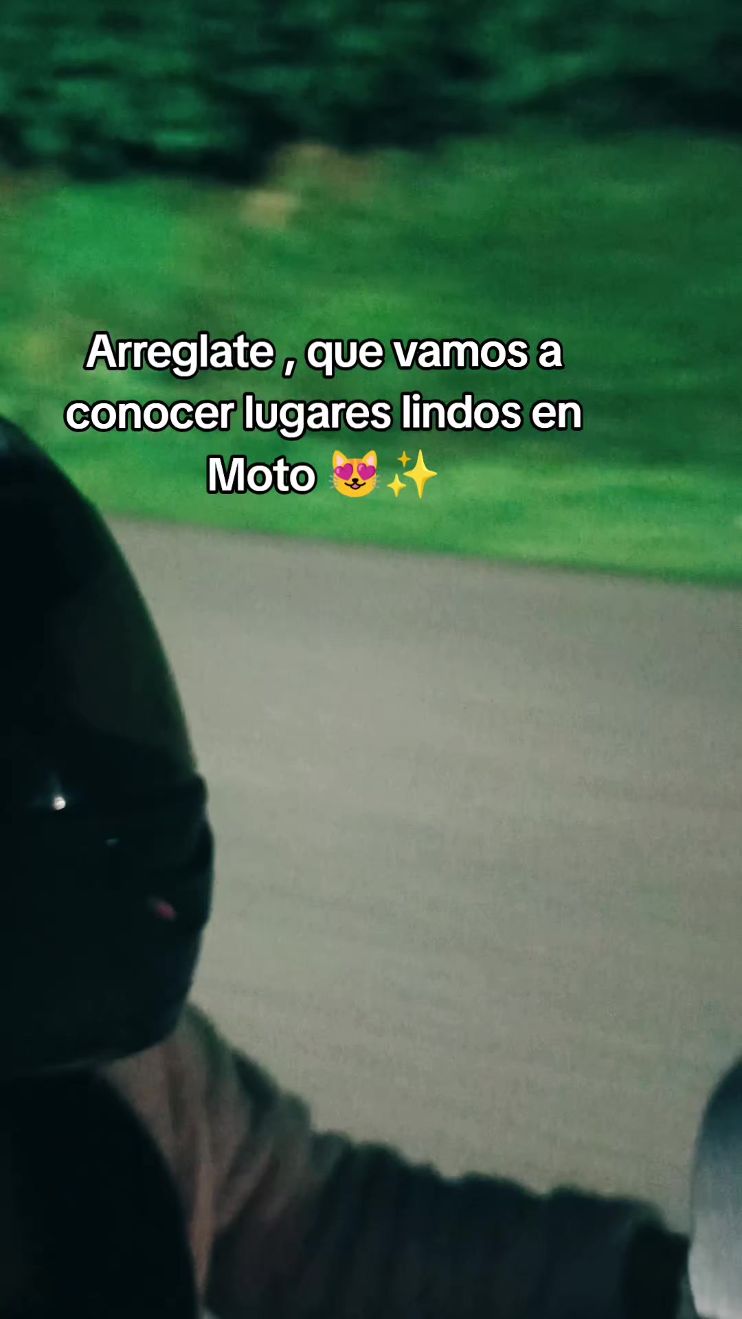 @carolgrefa