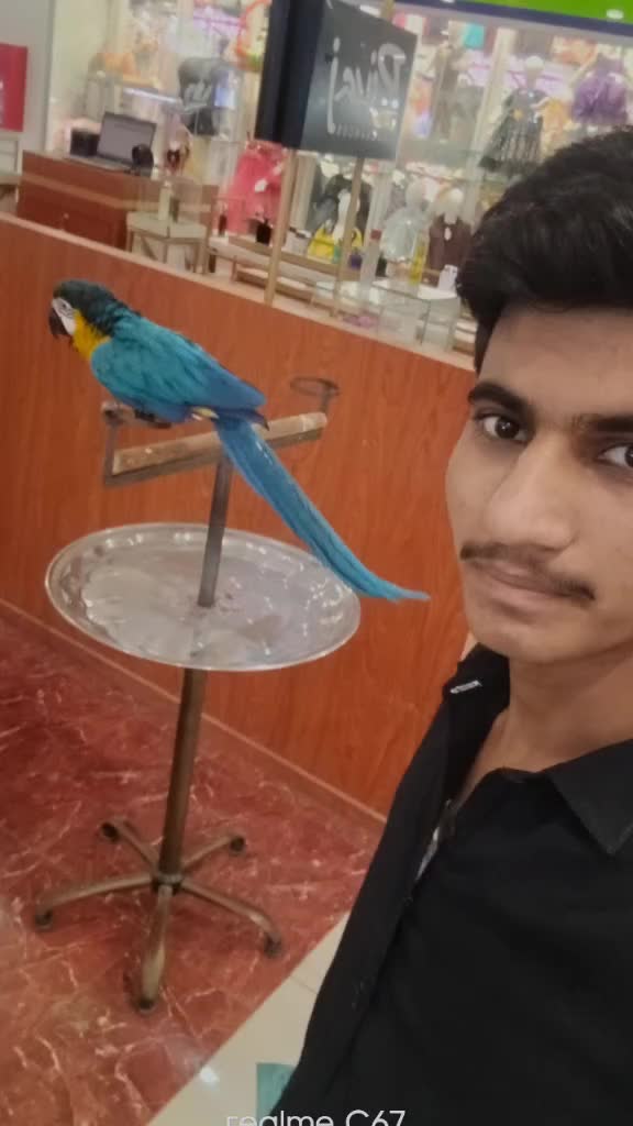 @Ali Hassan Jutt555