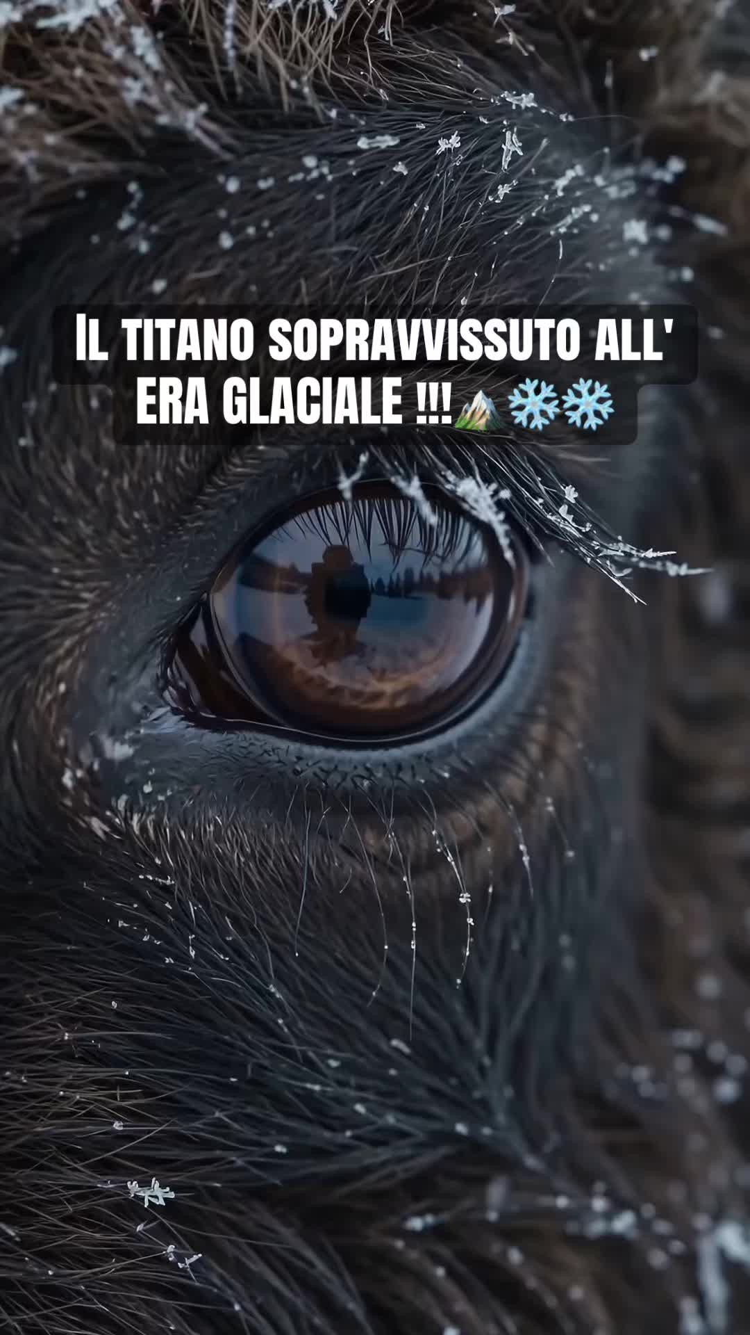 @AnimalAI