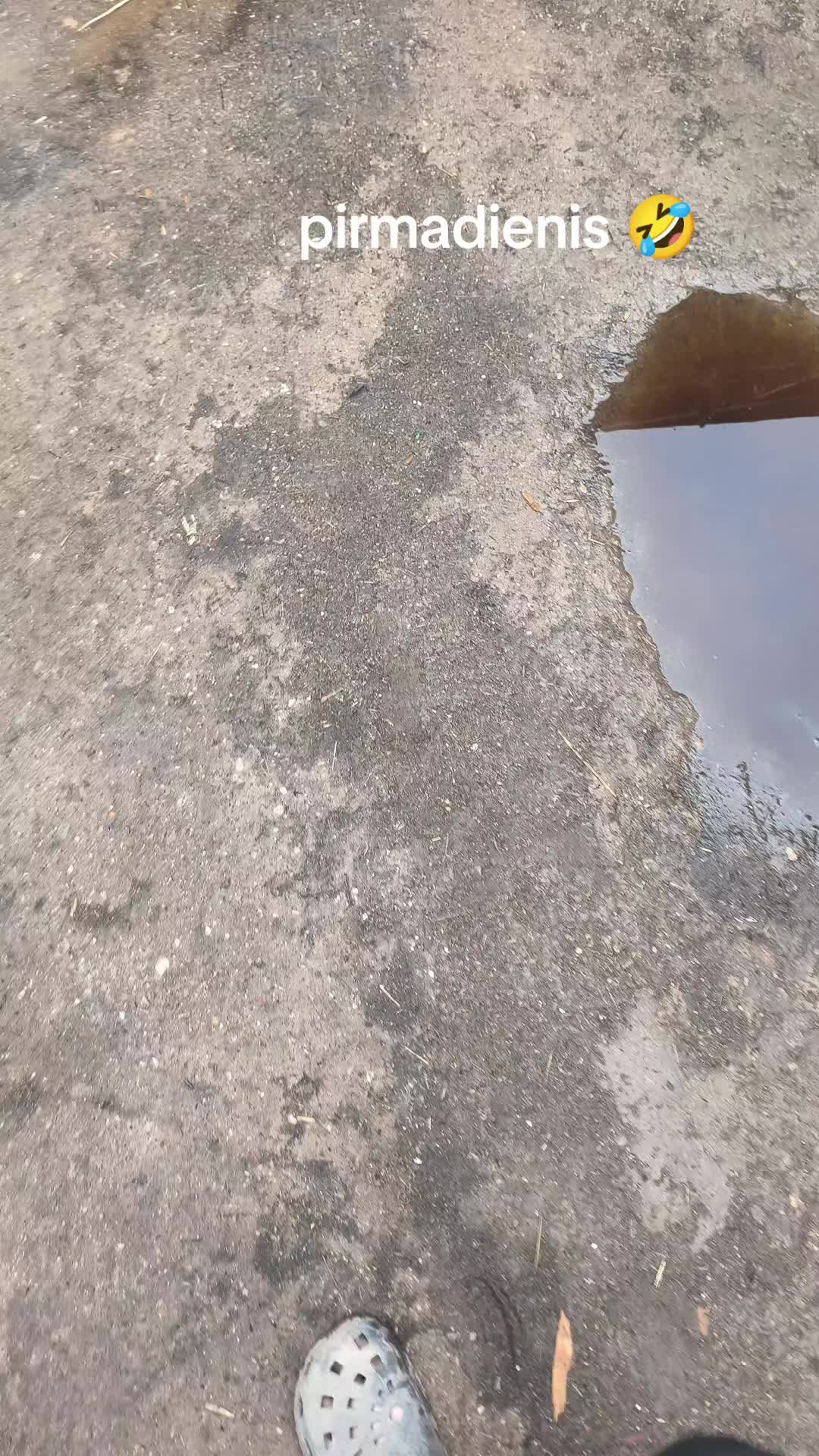 @👻🦊 Lapino &Scaron;mėkla 🦊👻