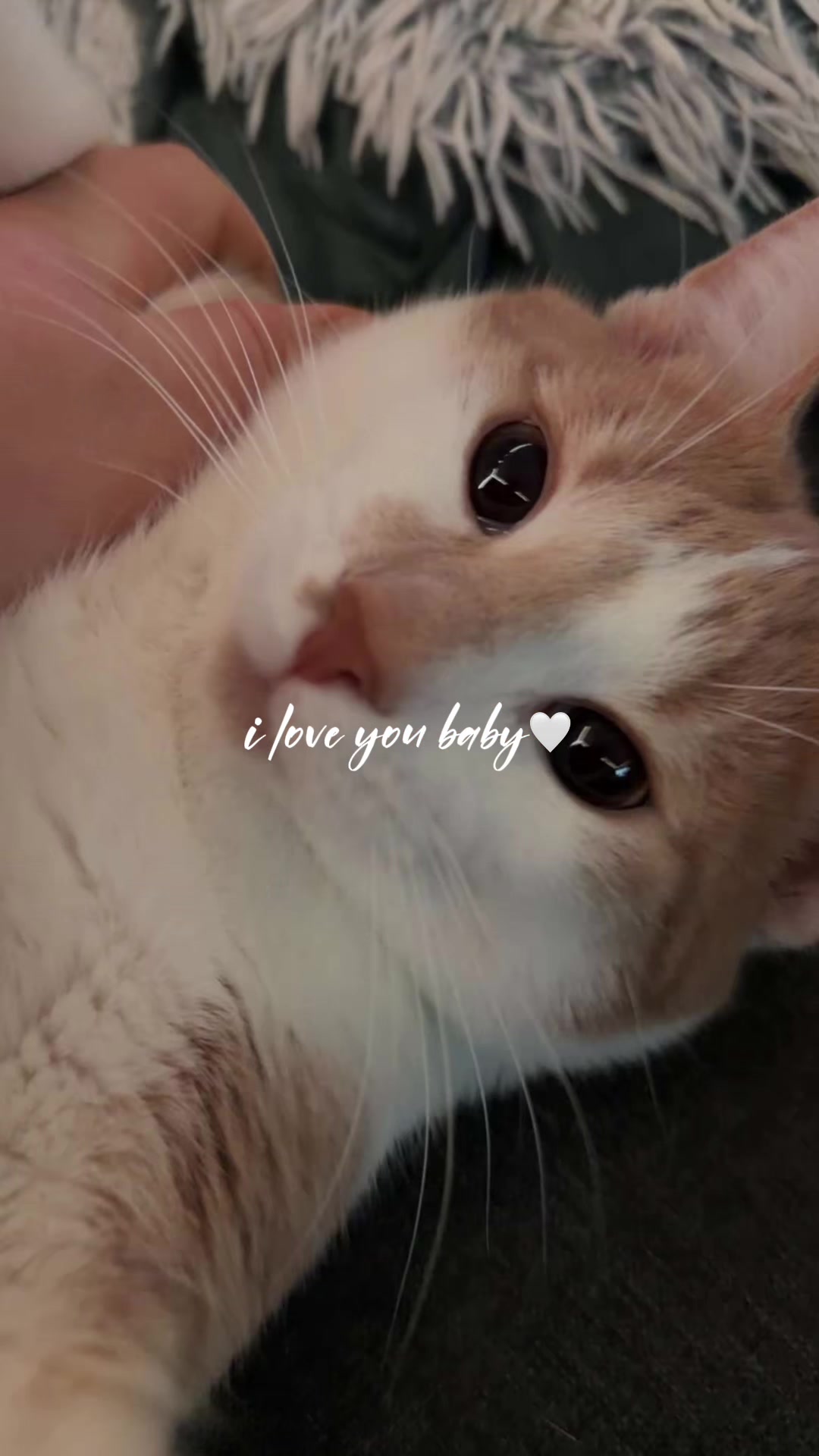 @𝙼𝚊𝚍𝚊𝚖 𝙲𝚑𝚎𝚎𝚣𝚌𝚊𝚔𝚎