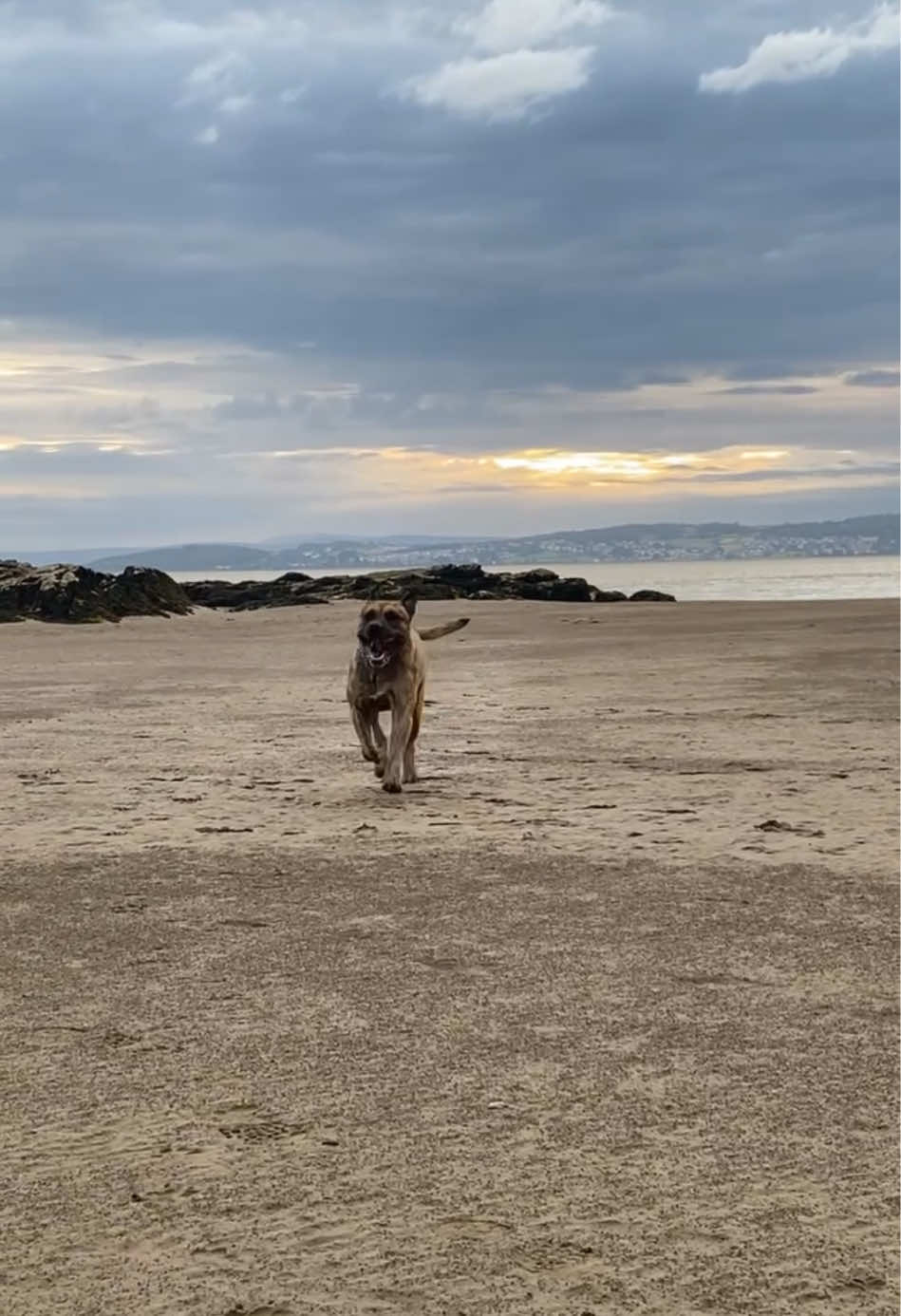 @Mooch 💖🍃 PRESA-CANARIO