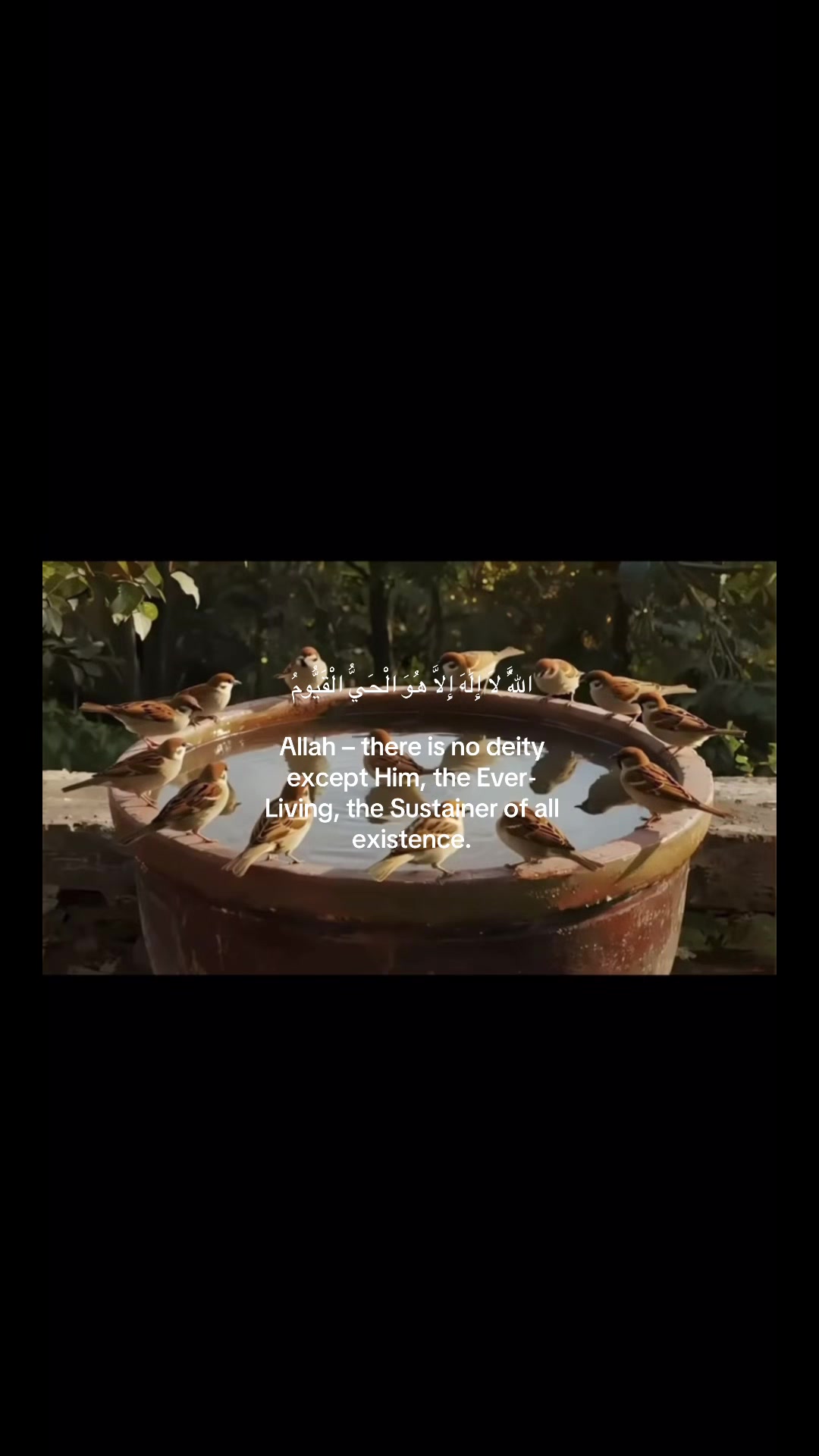 @ص