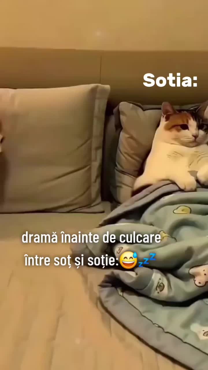 @ank_andreescu867