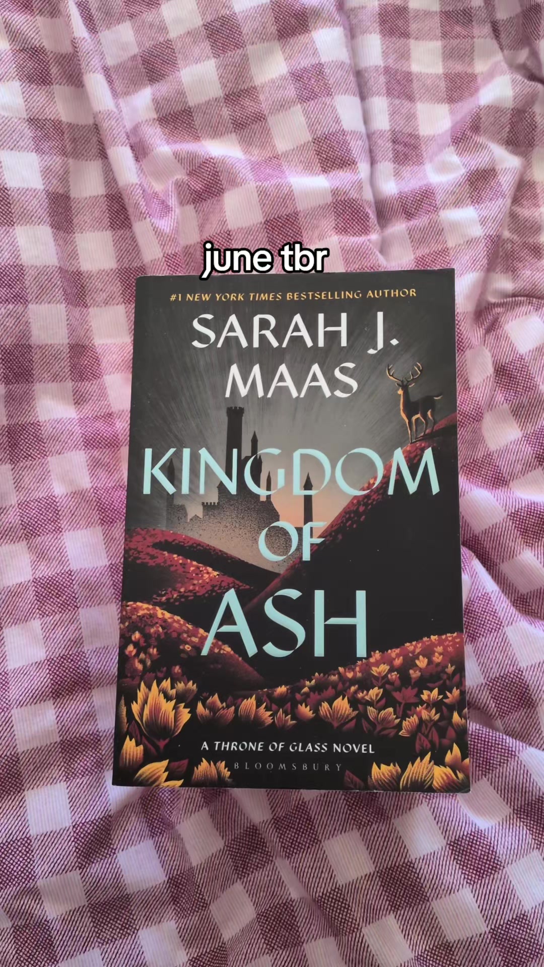 @aus || booktoker