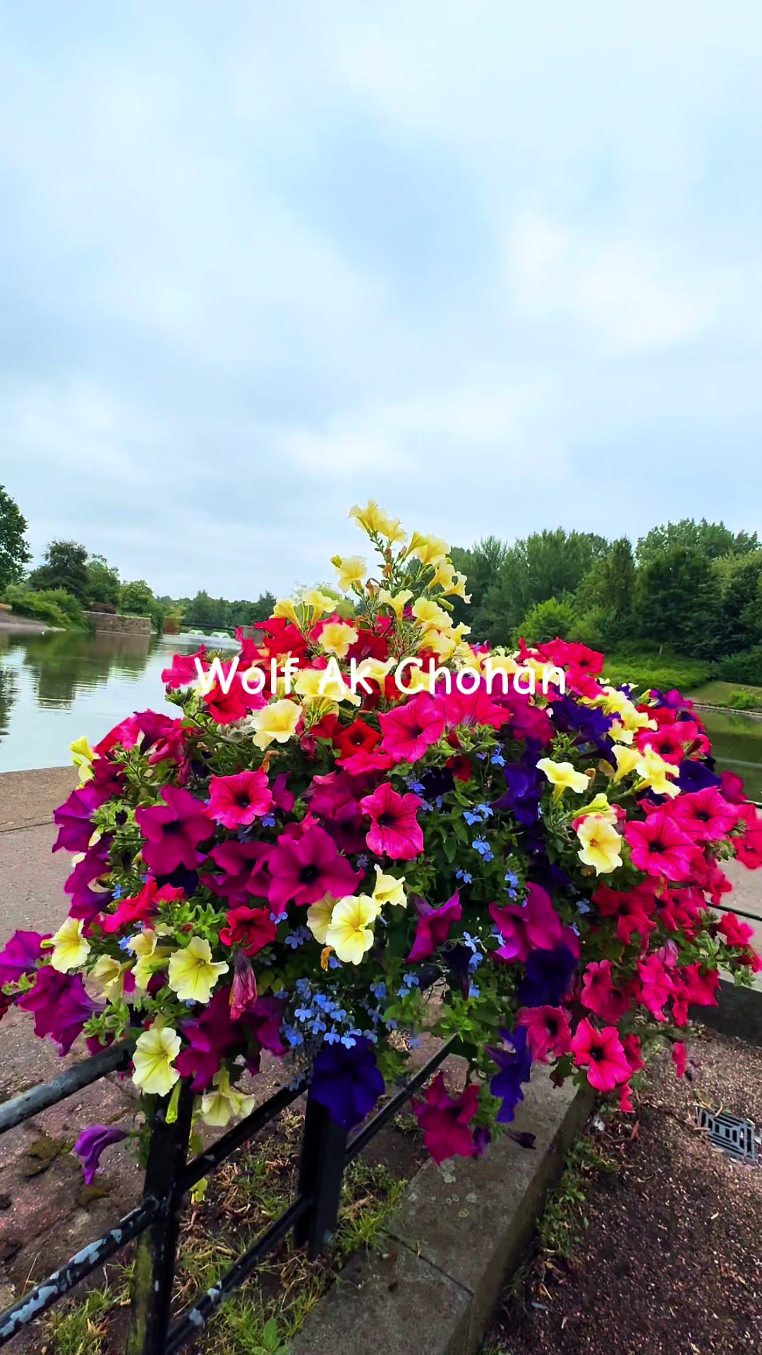 @WOLF Chohan