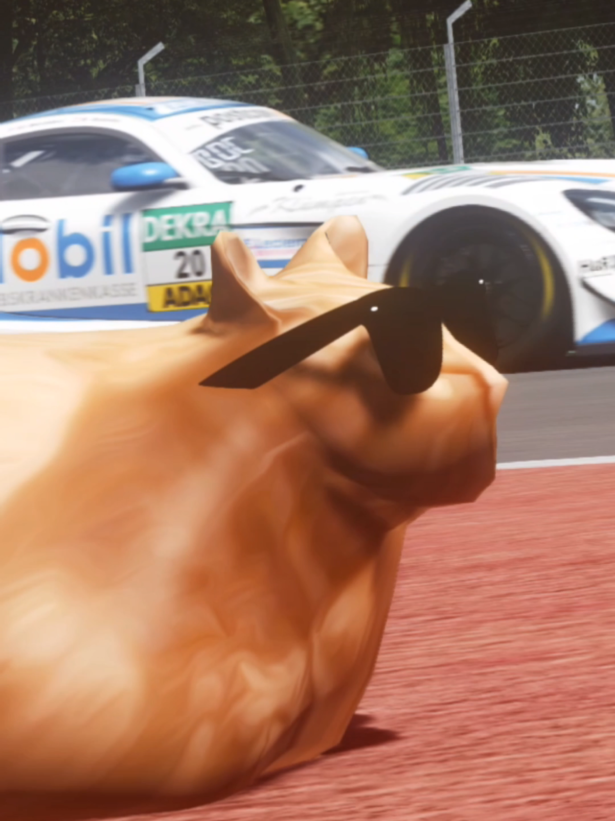 @Pablo the Race Cat