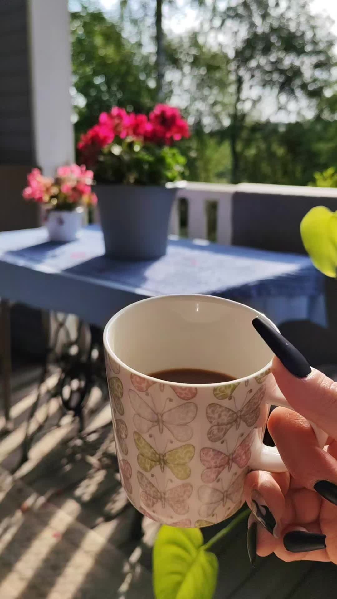 @Aurora🐼