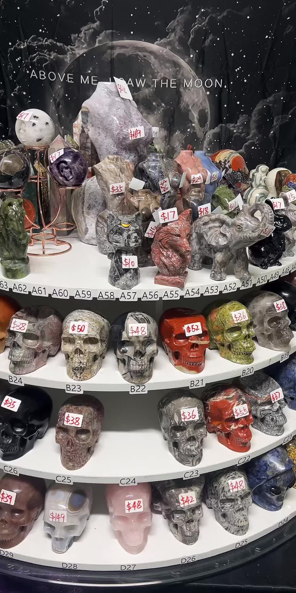 @Mr.Skull