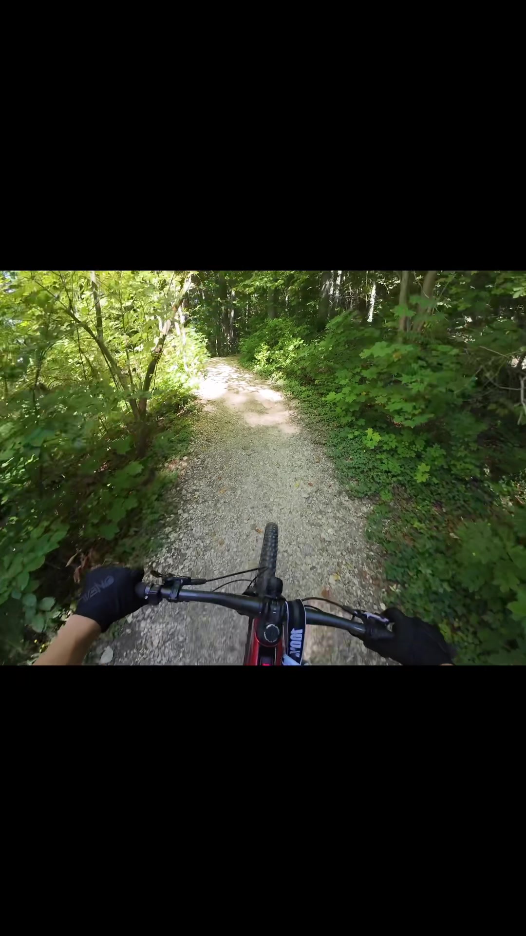 @Luca.mtb🇩🇪🦅✝️