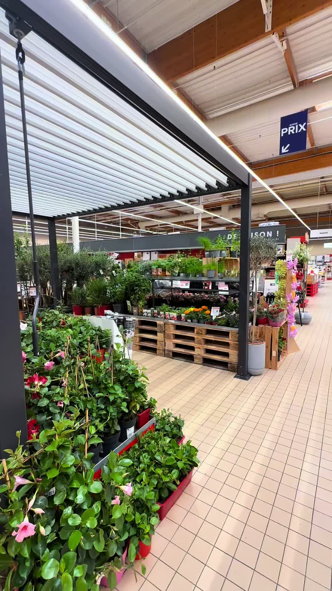 @Carrefour Cholet