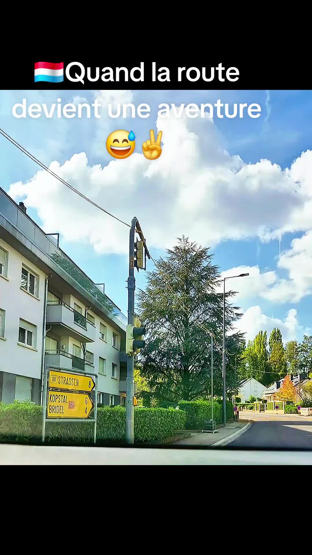 @Gra🙃ça🇱🇺 countrylife