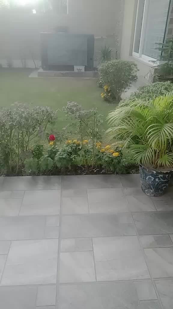 @Bhadar Ali