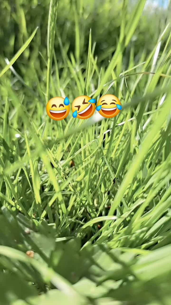 @🥰🥰🥰