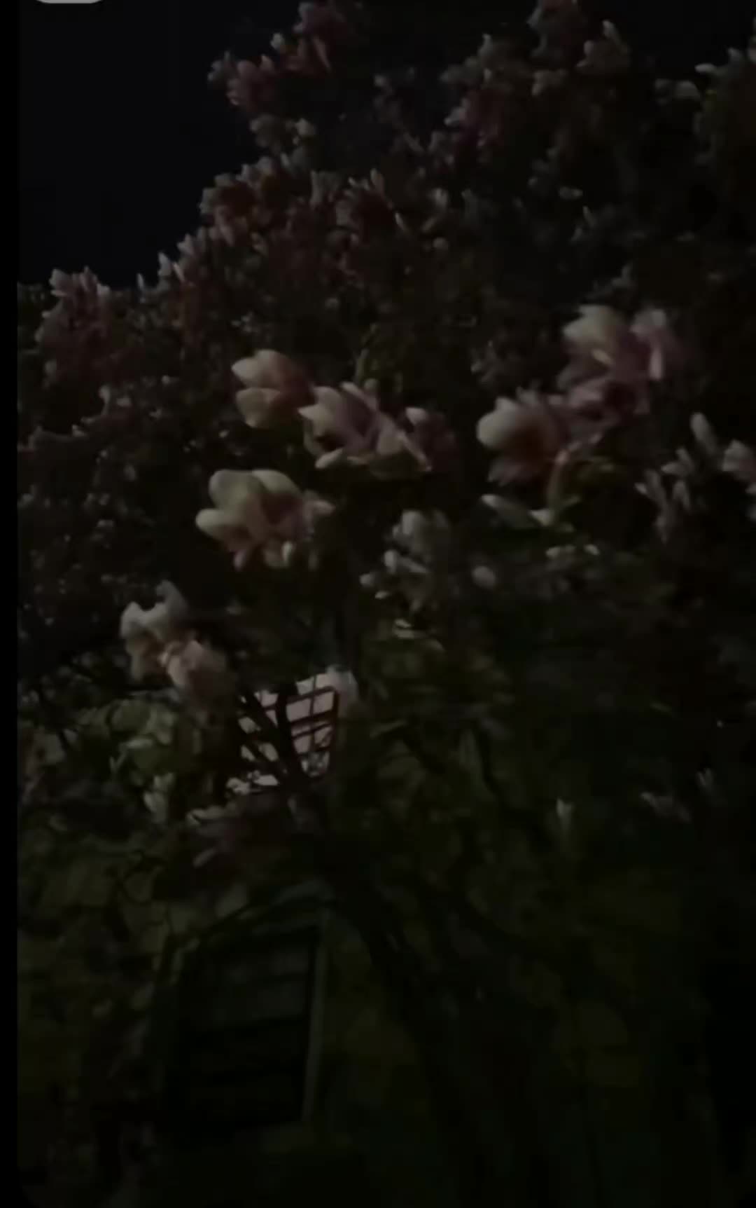@kimipalf07
