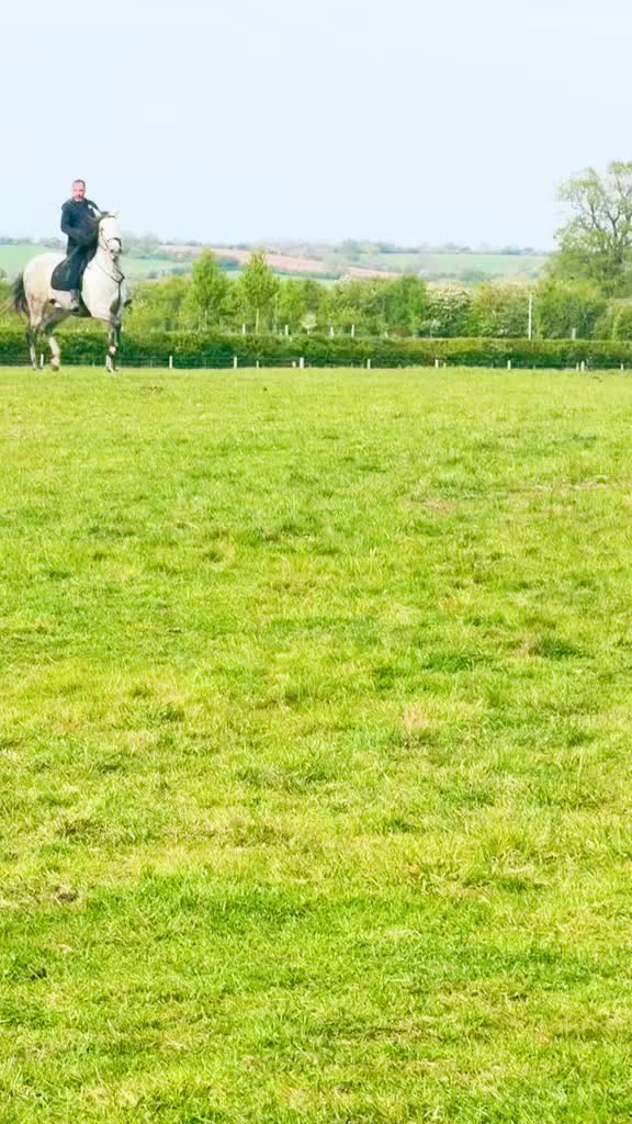@Slough horses