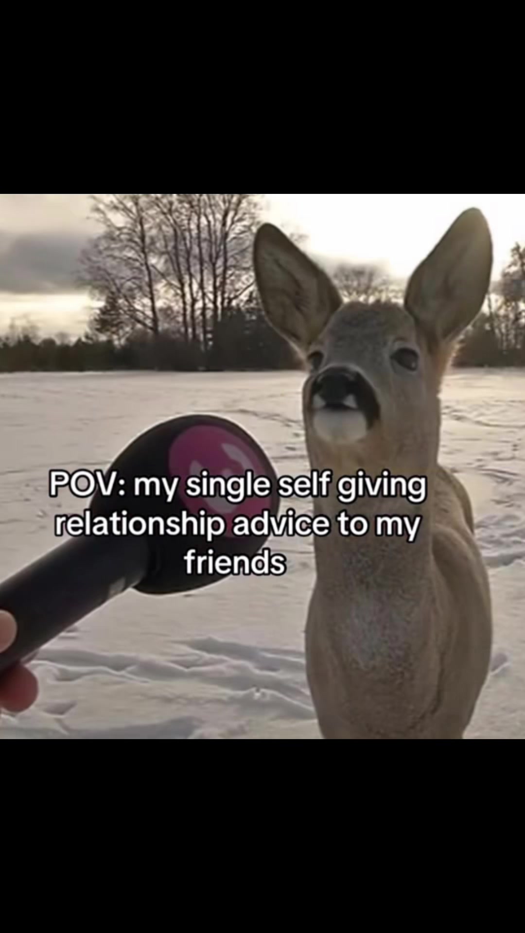 @random.vibes