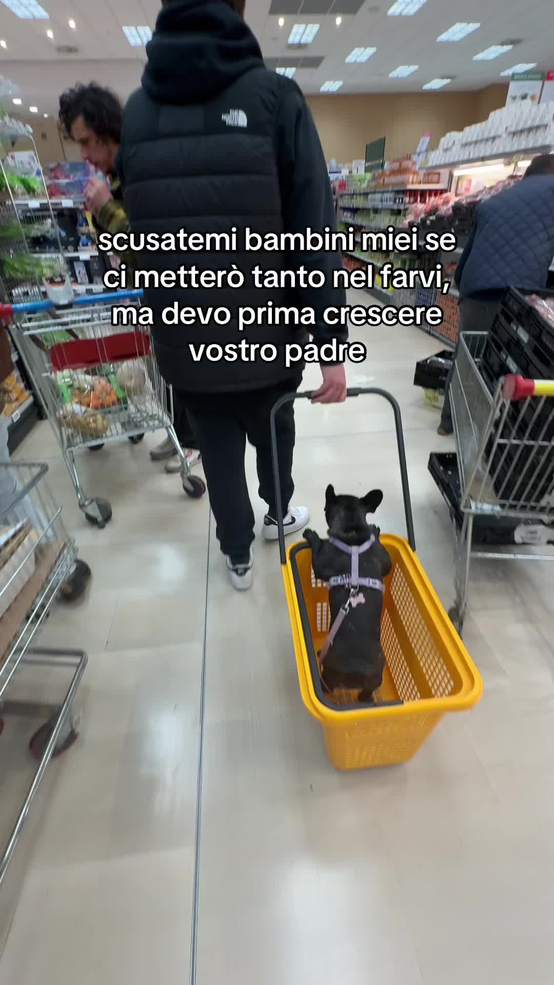 @๐๐๐๐ โ