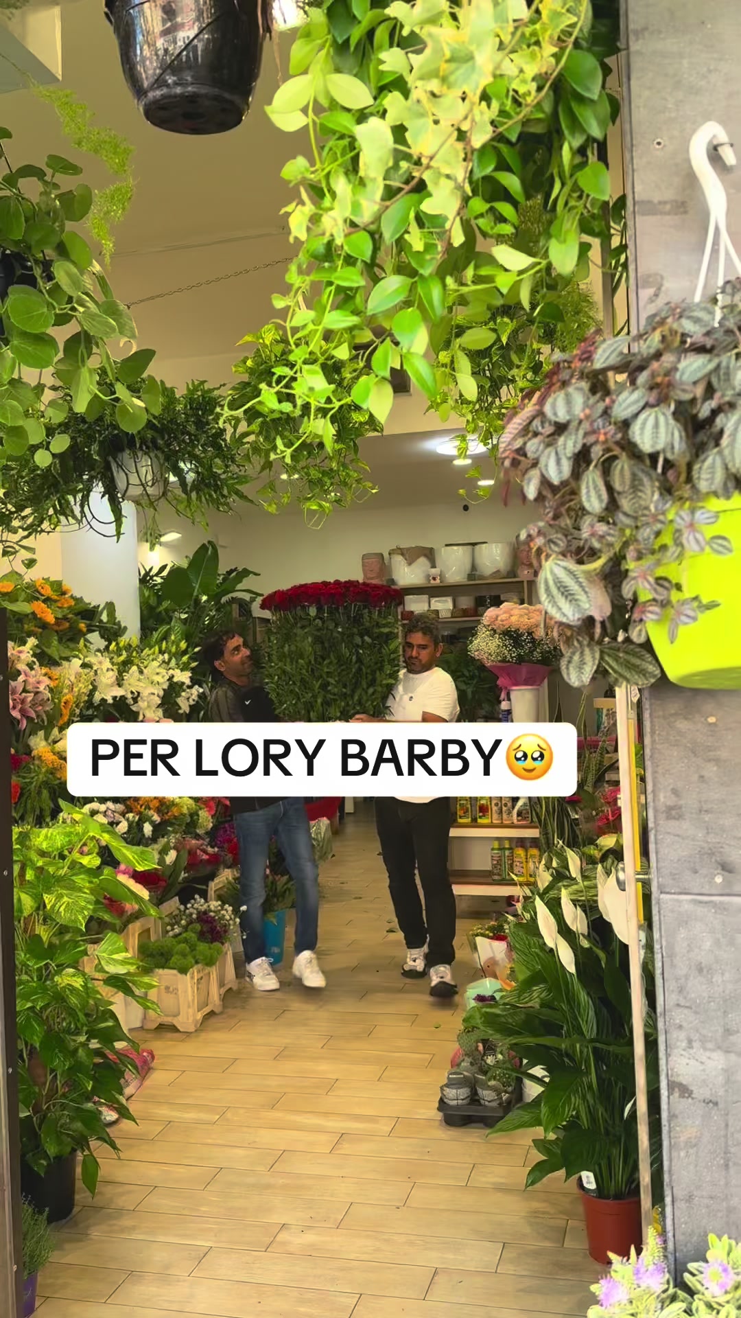 @🎀Lory🎀