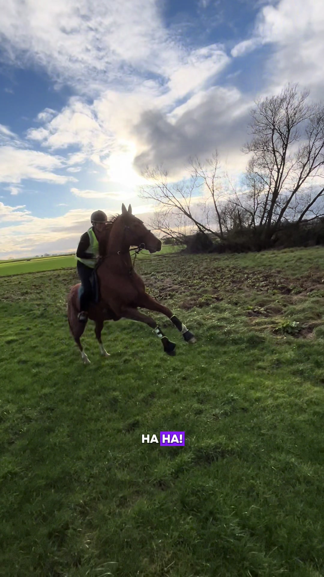 @LW_Equestrian