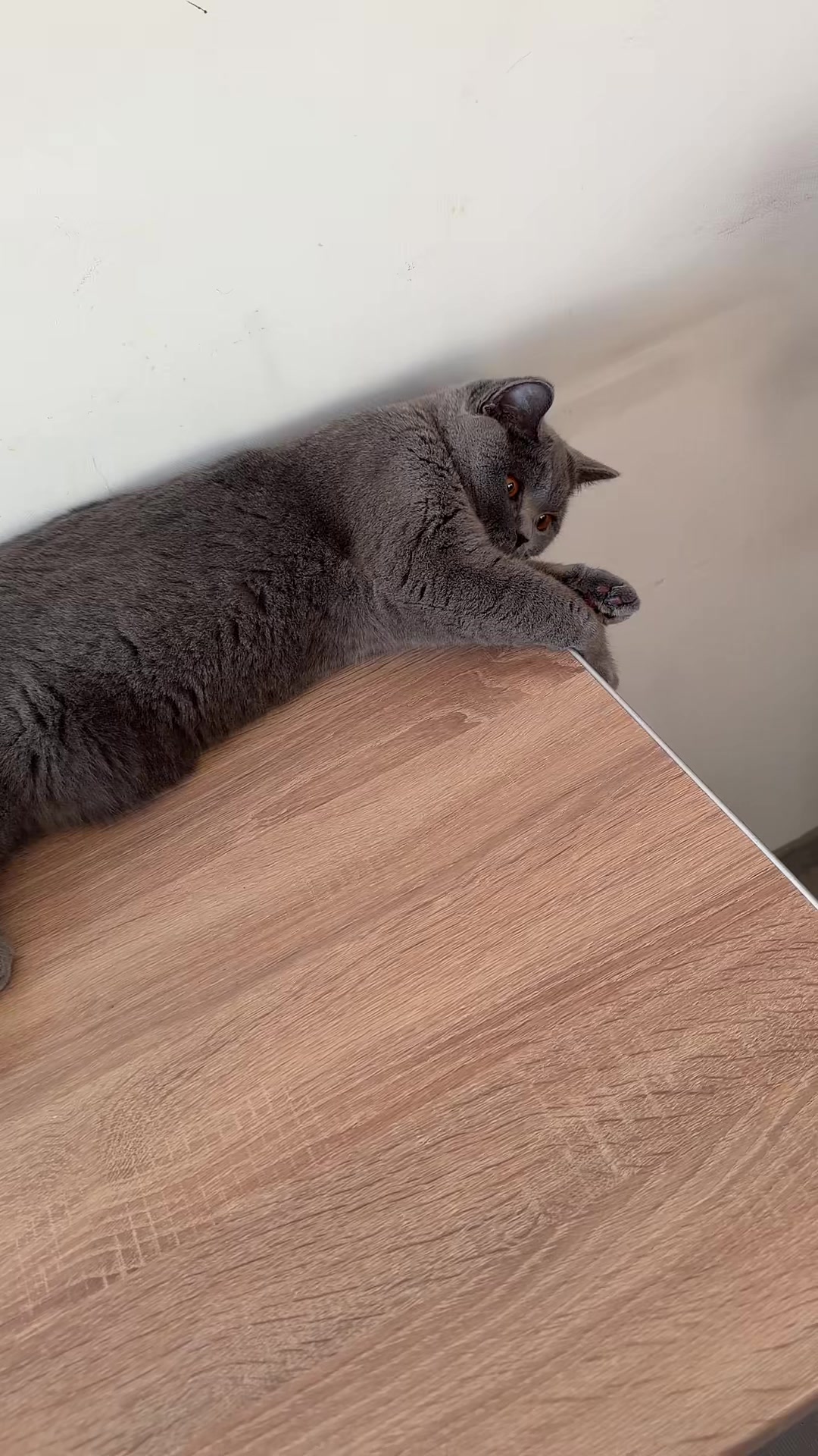 @𝐀𝐧𝐝𝐫𝐞𝐞𝐚