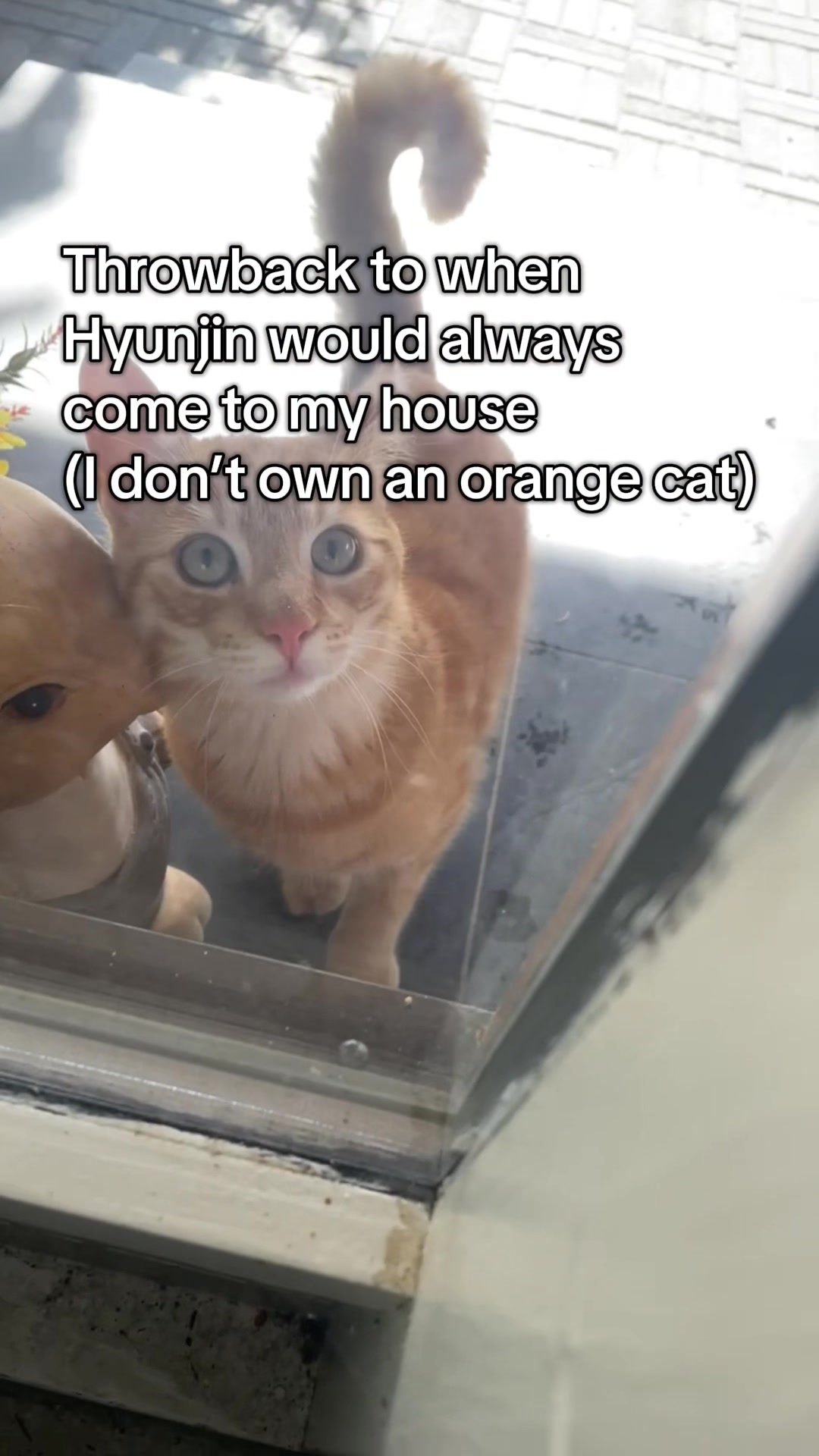 @Kaede and Yeojin lover🤍🍓