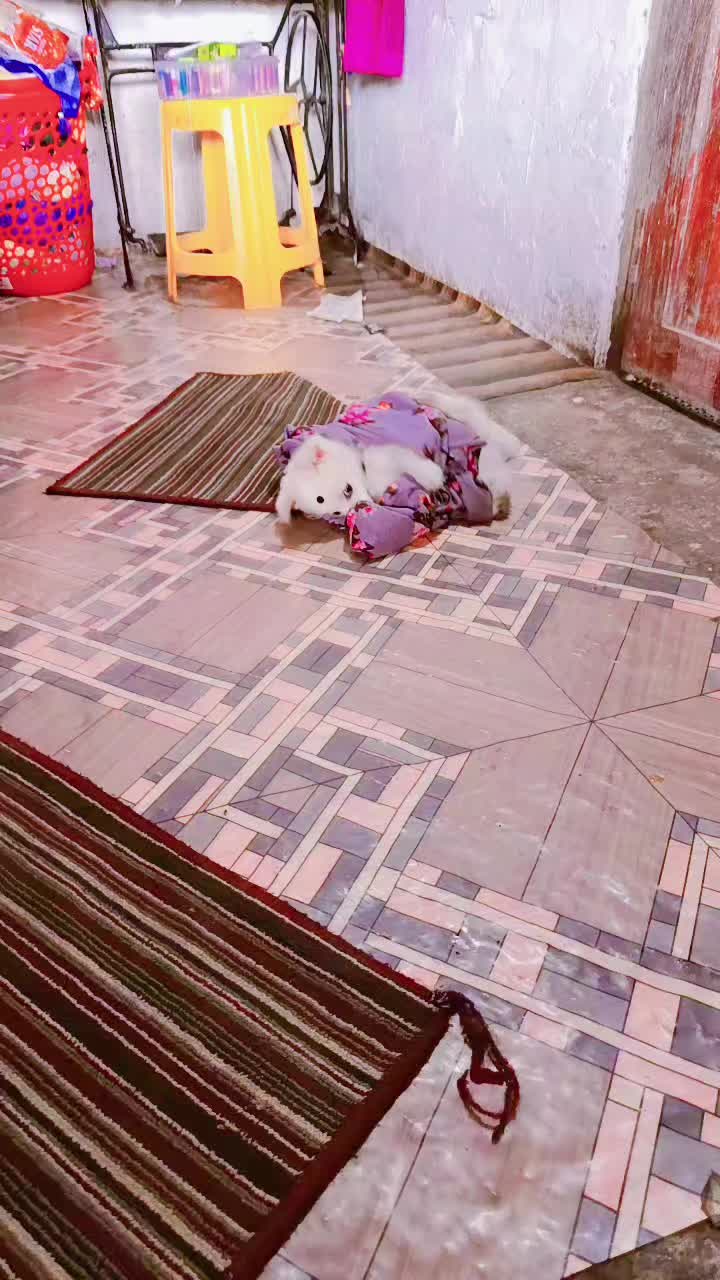 @Ranjana