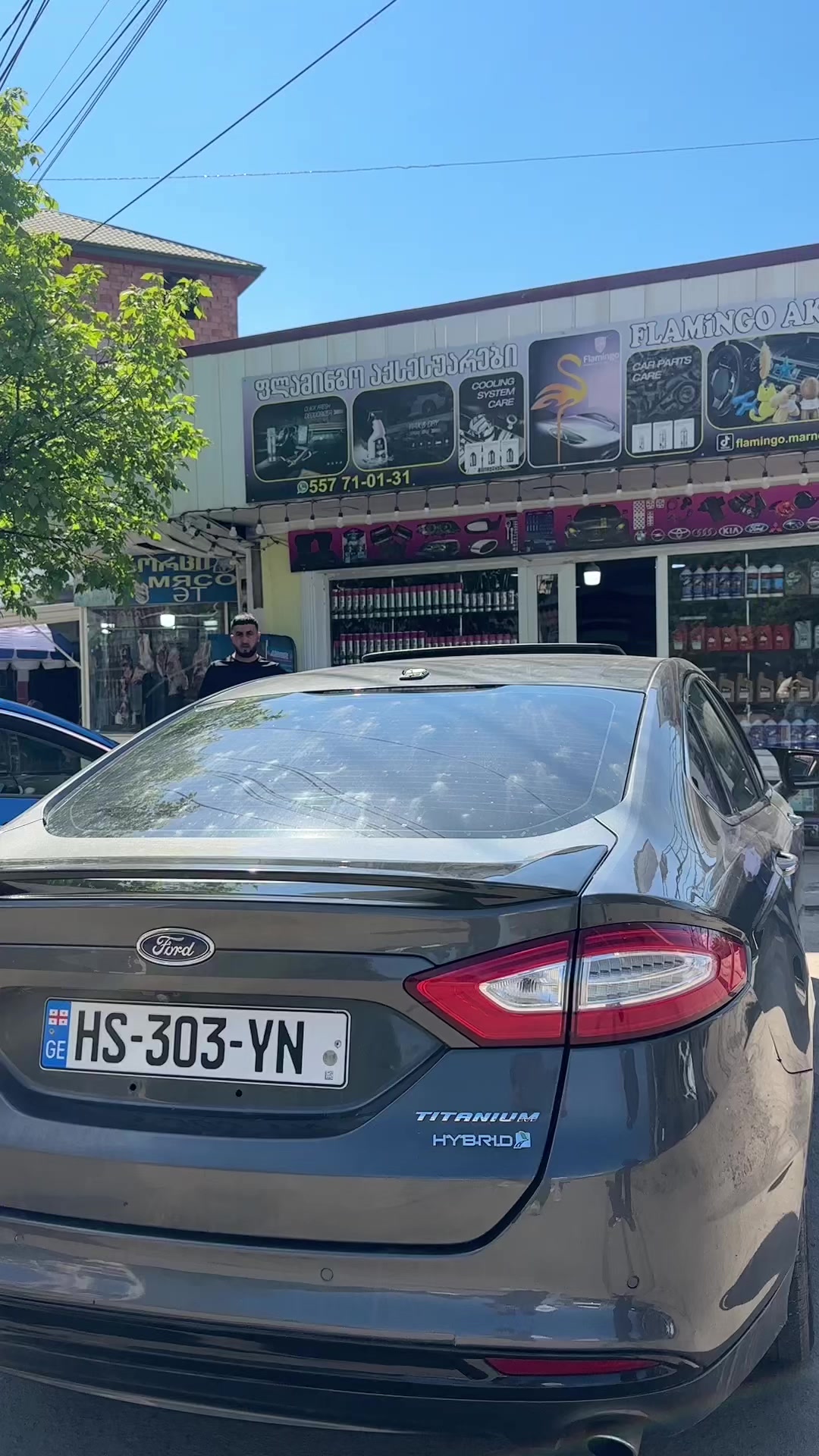 @Flamingo marneuli