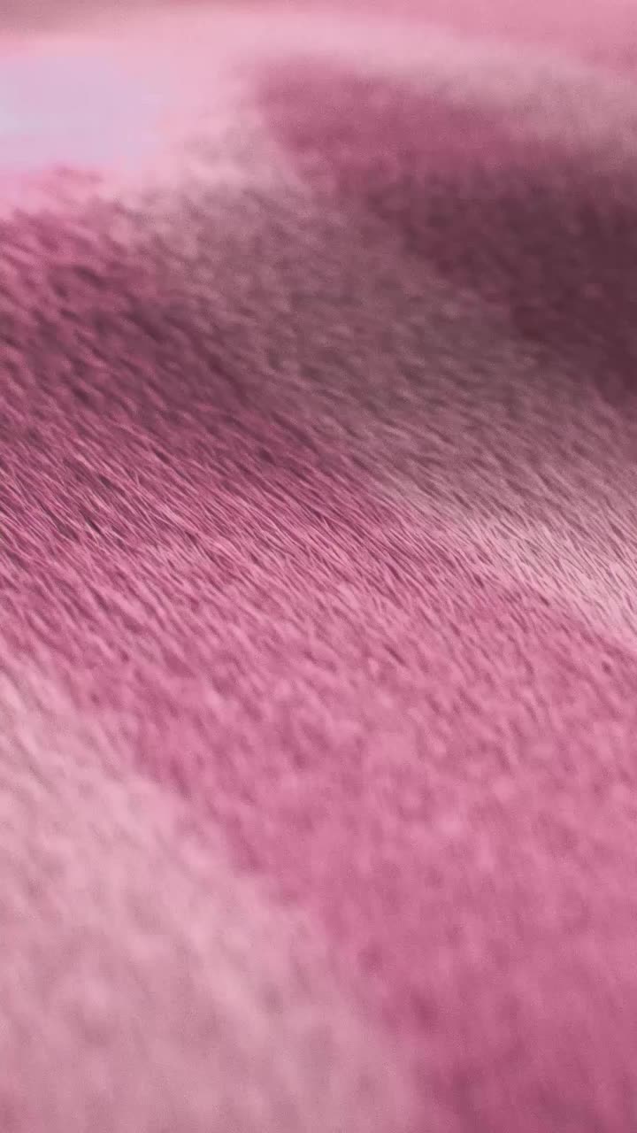@BiancoNeri
